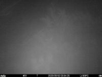 May 2 2025  3:34:20, #01