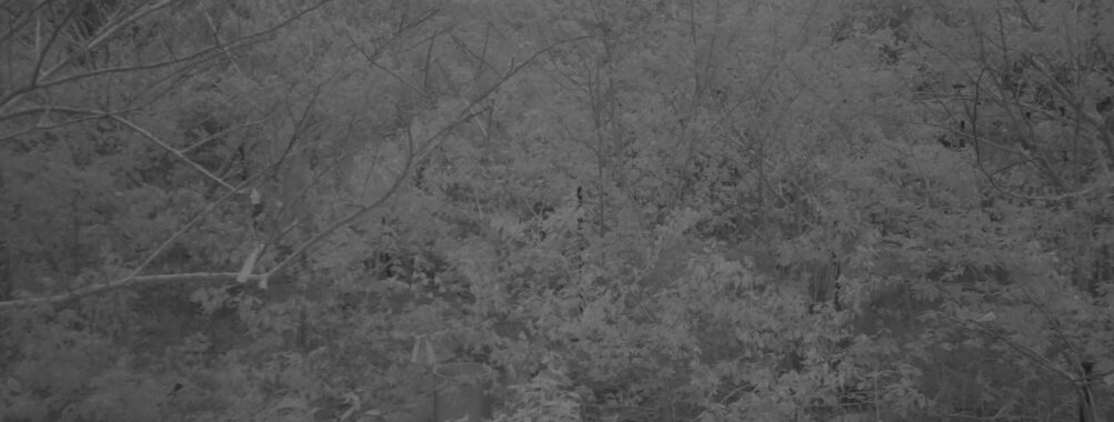 May 3 2025 18:34:20, #01