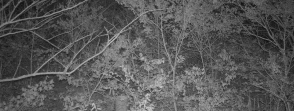 May 3 2025 21:34:20, #01