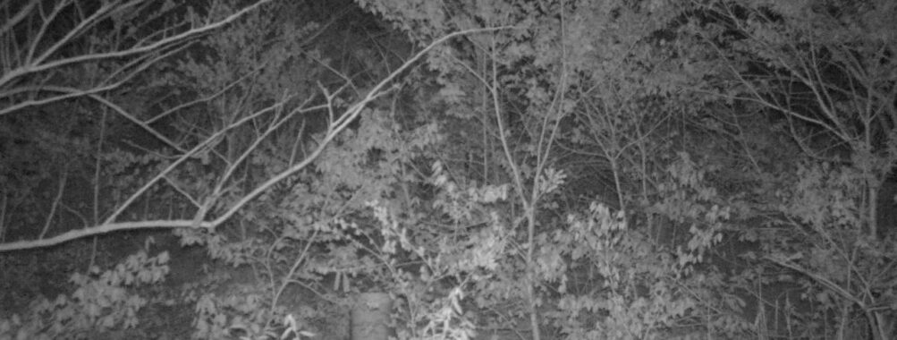 May 4 2025  0:34:20, #01