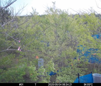 May 4 2025  6:34:21, #01