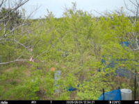 May 4 2025 12:34:20, #01