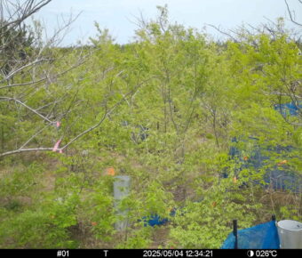 May 4 2025 12:34:20, #01