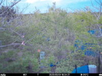May 4 2025 18:34:21, #01