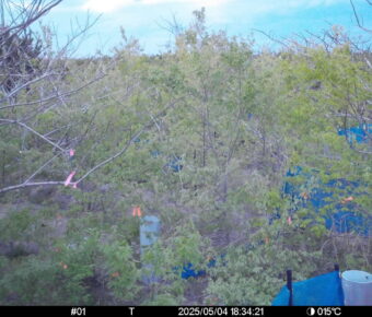 May 4 2025 18:34:21, #01