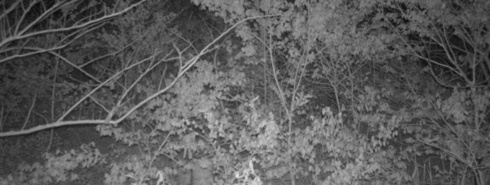 May 4 2025 21:34:20, #01