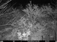 May 4 2025 21:34:20, #01