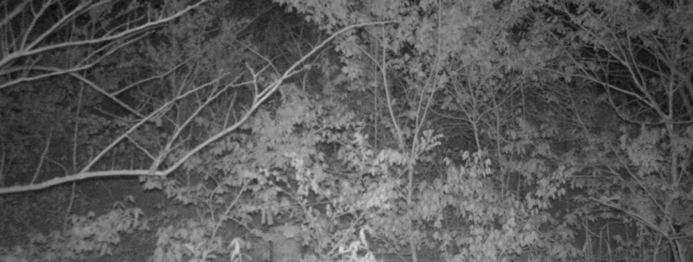May 5 2025  0:34:20, #01