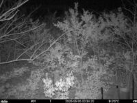 May 5 2025  0:34:20, #01