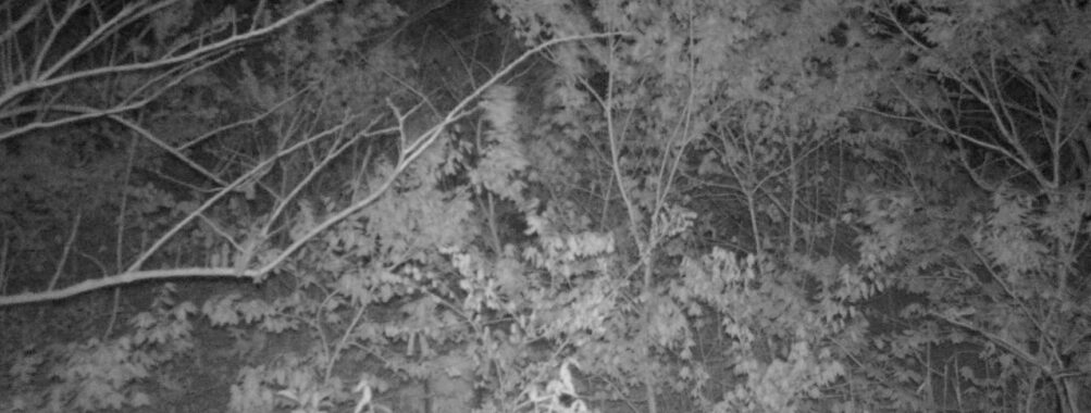 May 5 2025  3:34:20, #01