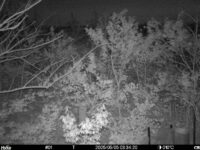May 5 2025  3:34:20, #01