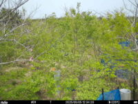 May 5 2025 12:34:20, #01
