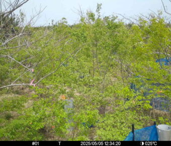 May 5 2025 12:34:20, #01