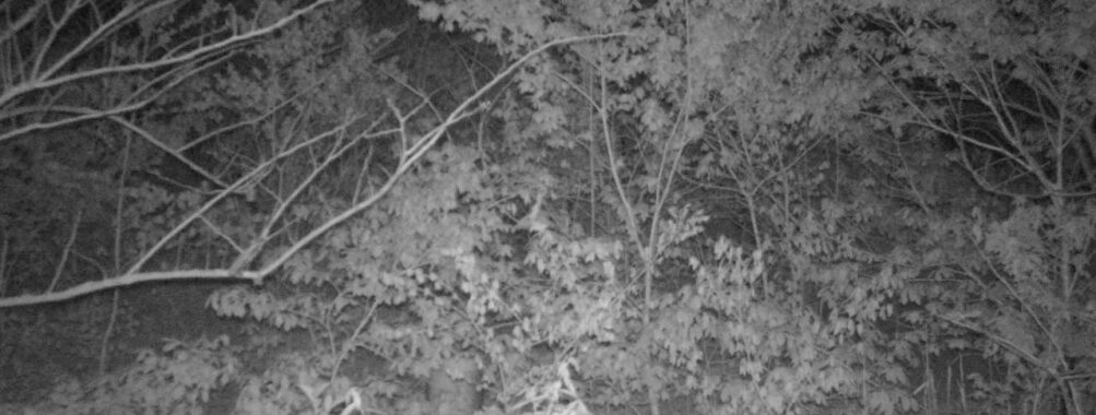 May 5 2025 21:34:21, #01