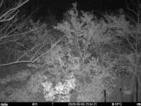 May 5 2025 21:34:21, #01