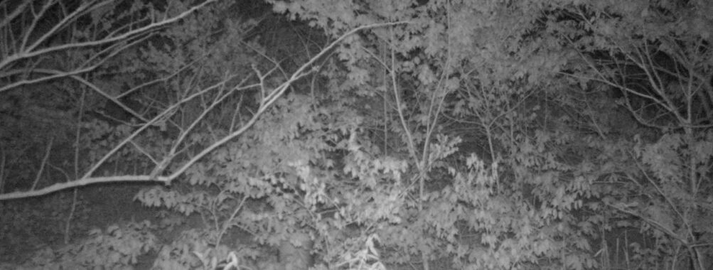 May 6 2025  0:34:19, #01