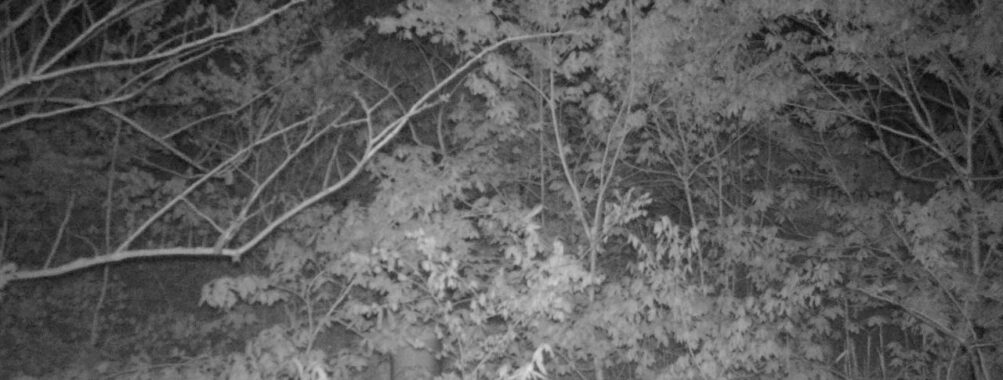 May 6 2025  3:34:20, #01