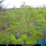 May 6 2025  6:34:21, #01