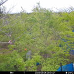 May 6 2025  9:34:21, #01