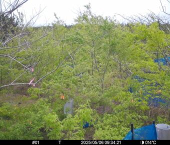 May 6 2025  9:34:21, #01