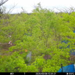 May 6 2025 12:34:21, #01