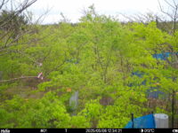 May 6 2025 12:34:21, #01