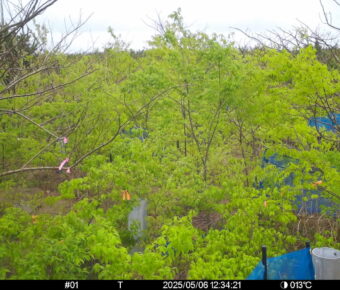 May 6 2025 12:34:21, #01
