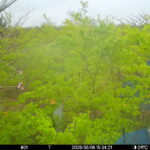 May 6 2025 15:34:21, #01