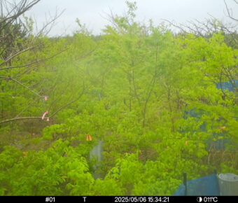 May 6 2025 15:34:21, #01