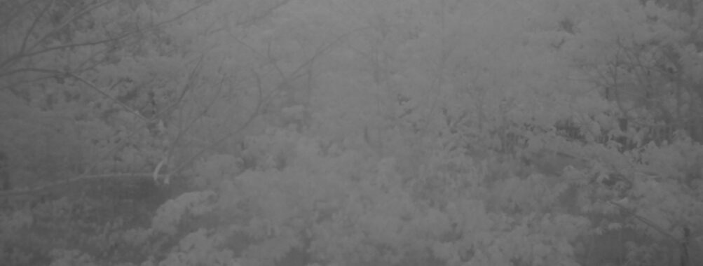 May 6 2025 18:34:21, #01