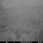 May 6 2025 18:34:21, #01