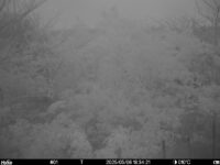 May 6 2025 18:34:21, #01
