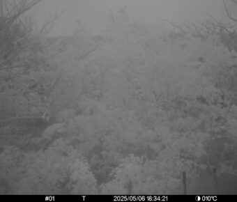 May 6 2025 18:34:21, #01