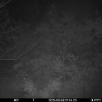 May 6 2025 21:34:20, #01