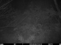 May 6 2025 21:34:20, #01