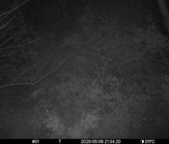 May 6 2025 21:34:20, #01