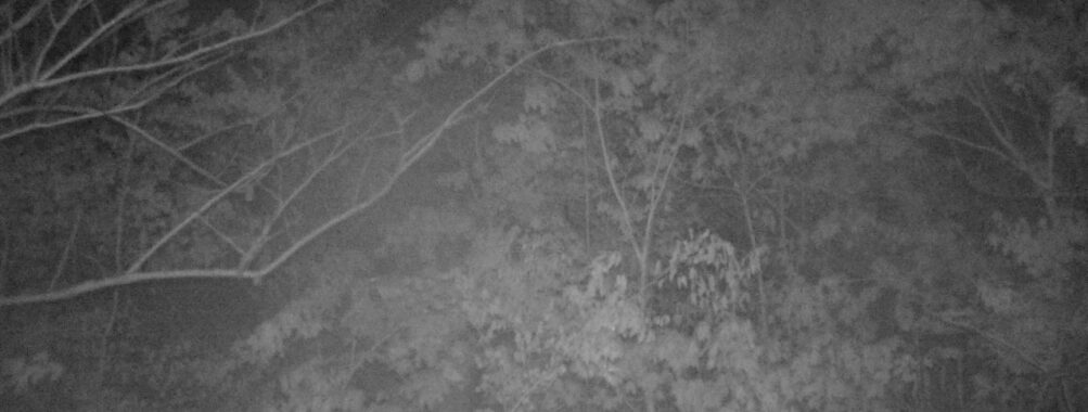 May 7 2025  0:34:20, #01