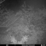 May 7 2025  0:34:20, #01