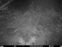 May 7 2025  0:34:20, #01
