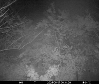 May 7 2025  0:34:20, #01