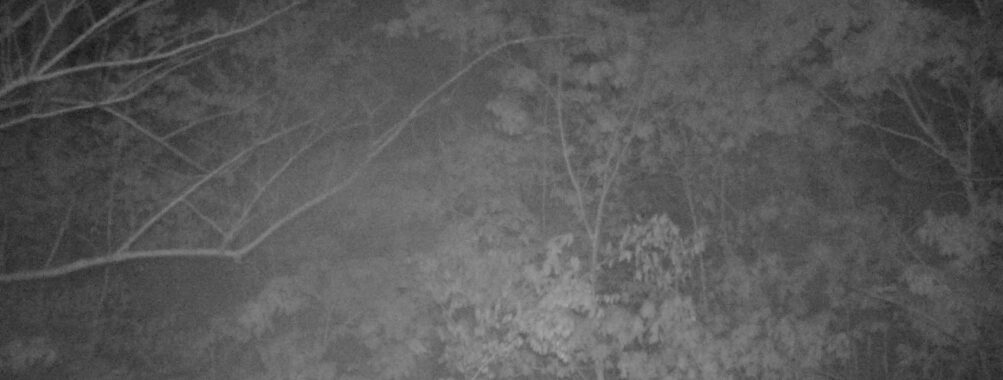 May 7 2025  3:34:20, #01