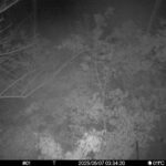 May 7 2025  3:34:20, #01