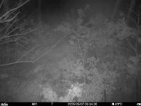 May 7 2025  3:34:20, #01