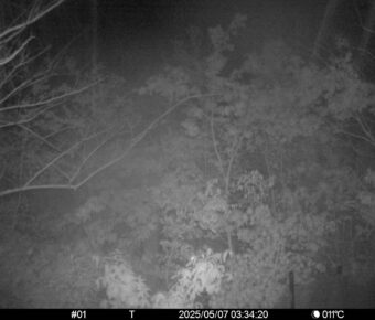 May 7 2025  3:34:20, #01