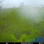 May 7 2025  6:34:21, #01