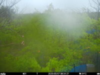 May 7 2025  6:34:21, #01