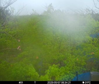 May 7 2025  6:34:21, #01