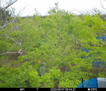 May 7 2025  9:34:21, #01