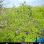 May 7 2025 12:34:21, #01