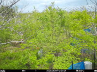 May 7 2025 12:34:21, #01